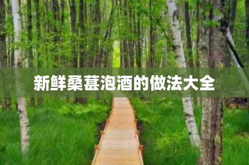 新鲜桑葚泡酒的做法大全
