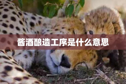 酱酒酿造工序是什么意思