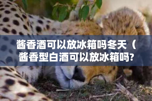 酱香酒可以放冰箱吗冬天（酱香型白酒可以放冰箱吗?）