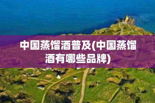 中国蒸馏酒普及(中国蒸馏酒有哪些品牌)