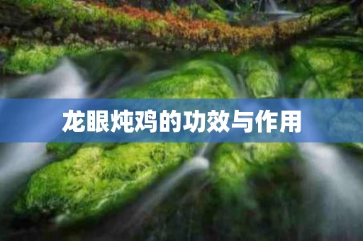 龙眼炖鸡的功效与作用