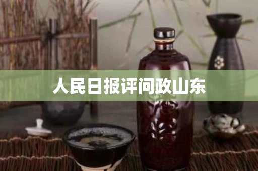 人民日报评问政山东