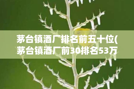 茅台镇酒厂排名前五十位(茅台镇酒厂前30排名53万阅读)
