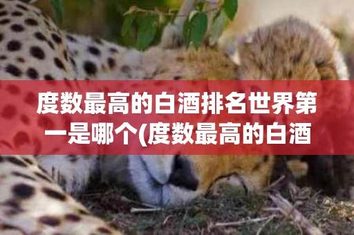 度数最高的白酒排名世界第一是哪个(度数最高的白酒排名世界第一是哪个国家)