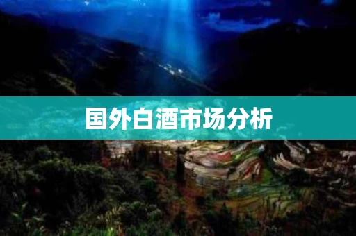 国外白酒市场分析