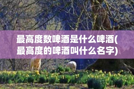 最高度数啤酒是什么啤酒(最高度的啤酒叫什么名字)
