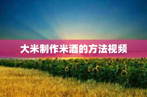 大米制作米酒的方法视频
