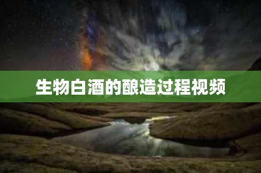 生物白酒的酿造过程视频
