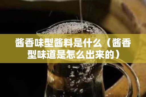 酱香味型酱料是什么（酱香型味道是怎么出来的）