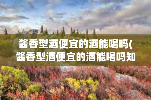 酱香型酒便宜的酒能喝吗(酱香型酒便宜的酒能喝吗知乎)