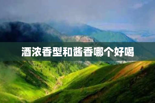 酒浓香型和酱香哪个好喝