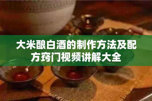 大米酿白酒的制作方法及配方窍门视频讲解大全