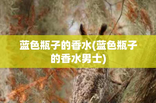 蓝色瓶子的香水(蓝色瓶子的香水男士)