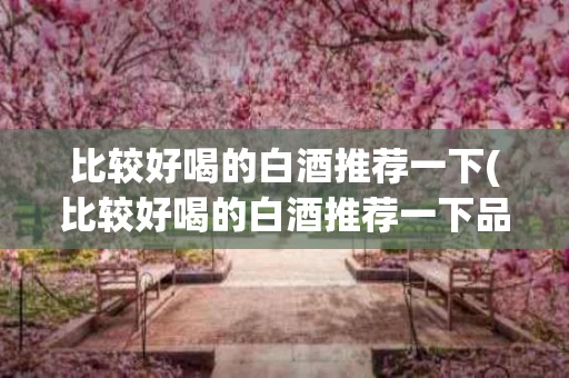 比较好喝的白酒推荐一下(比较好喝的白酒推荐一下品牌)