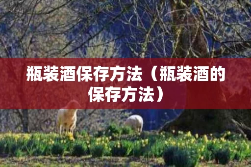 瓶装酒保存方法（瓶装酒的保存方法）