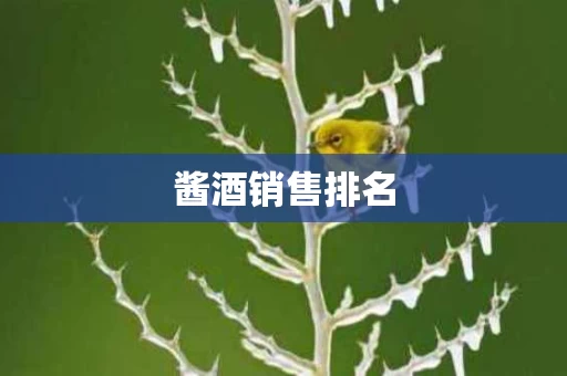 酱酒销售排名