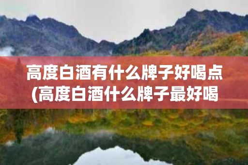 高度白酒有什么牌子好喝点(高度白酒什么牌子最好喝)