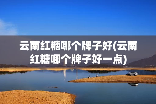 云南红糖哪个牌子好(云南红糖哪个牌子好一点)