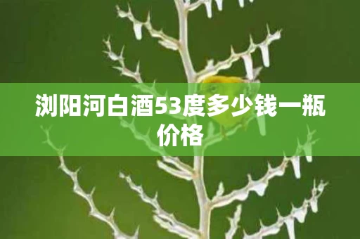 浏阳河白酒53度多少钱一瓶价格