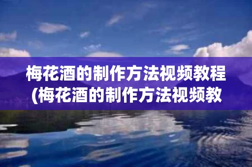 梅花酒的制作方法视频教程(梅花酒的制作方法视频教程全集)