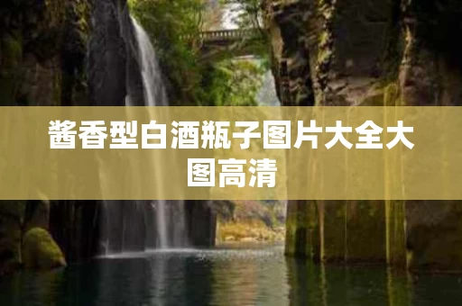 酱香型白酒瓶子图片大全大图高清