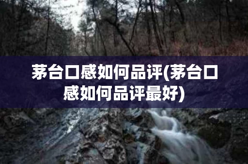 茅台口感如何品评(茅台口感如何品评最好)