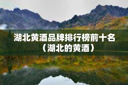 湖北黄酒品牌排行榜前十名（湖北的黄酒）