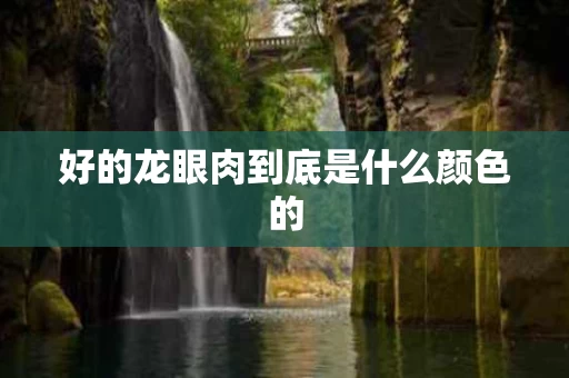 好的龙眼肉到底是什么颜色的