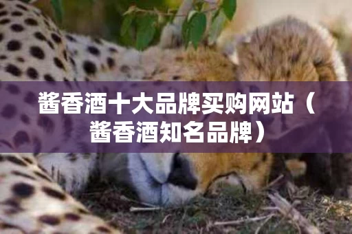 酱香酒十大品牌买购网站（酱香酒知名品牌）
