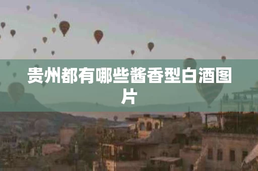 贵州都有哪些酱香型白酒图片