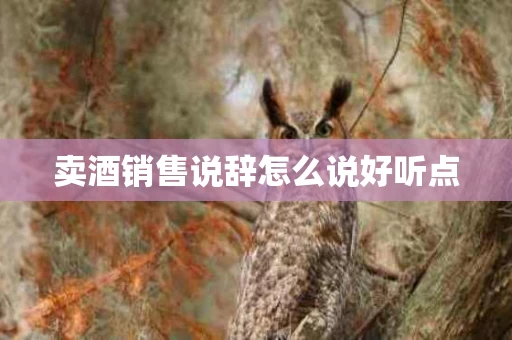 卖酒销售说辞怎么说好听点
