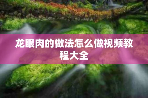 龙眼肉的做法怎么做视频教程大全