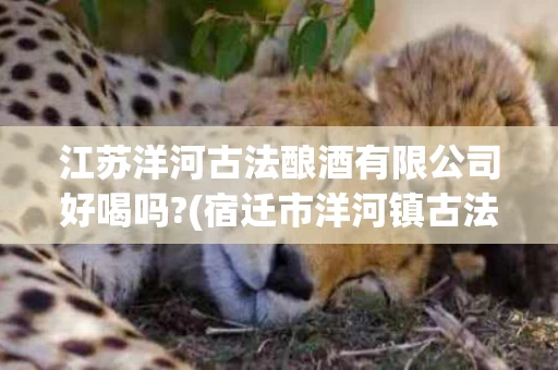 江苏洋河古法酿酒有限公司好喝吗?(宿迁市洋河镇古法酿酒股份有限公司原浆酒)