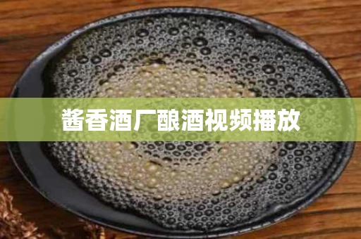 酱香酒厂酿酒视频播放