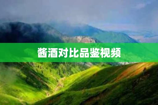 酱酒对比品鉴视频