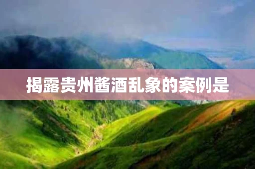 揭露贵州酱酒乱象的案例是