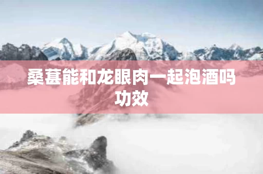 桑葚能和龙眼肉一起泡酒吗功效