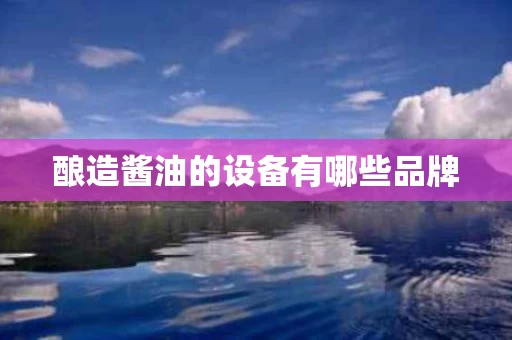 酿造酱油的设备有哪些品牌