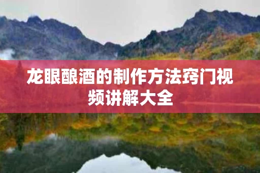 龙眼酿酒的制作方法窍门视频讲解大全