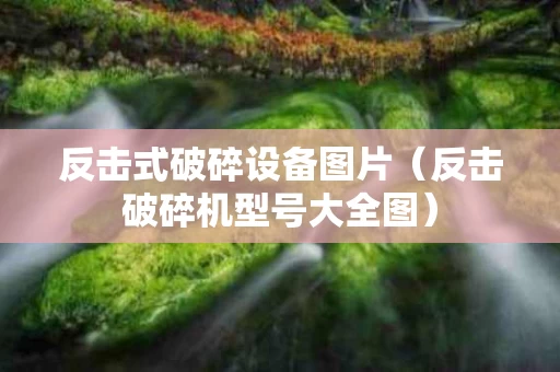 反击式破碎设备图片（反击破碎机型号大全图）