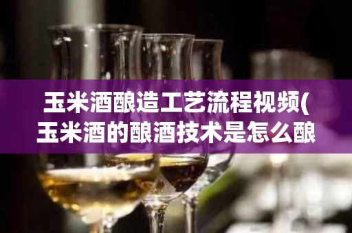 玉米酒酿造工艺流程视频(玉米酒的酿酒技术是怎么酿)