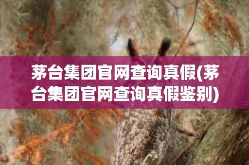 茅台集团官网查询真假(茅台集团官网查询真假鉴别)