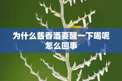 为什么酱香酒要醒一下喝呢怎么回事