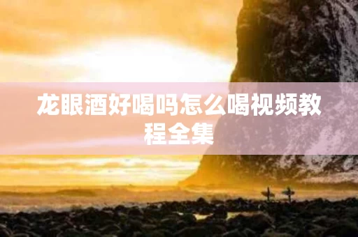 龙眼酒好喝吗怎么喝视频教程全集