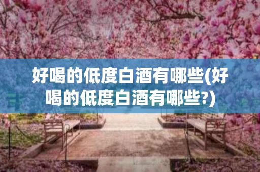 好喝的低度白酒有哪些(好喝的低度白酒有哪些?)