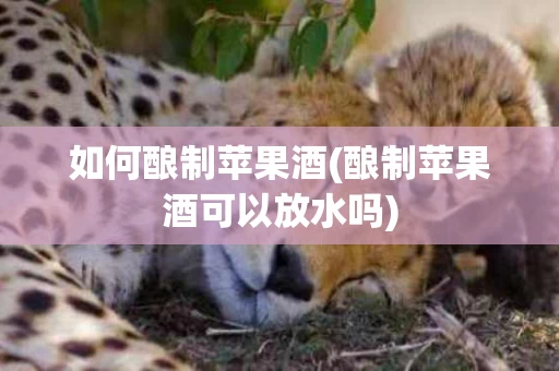 如何酿制苹果酒(酿制苹果酒可以放水吗)