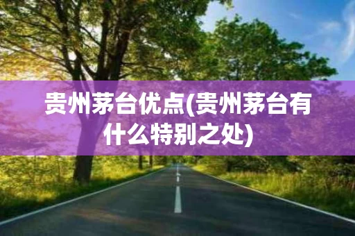 贵州茅台优点(贵州茅台有什么特别之处)