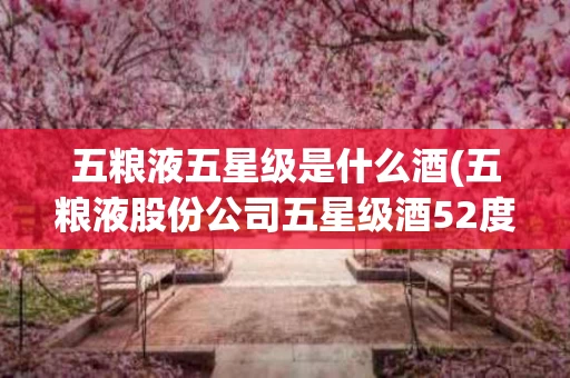 五粮液五星级是什么酒(五粮液股份公司五星级酒52度价格)