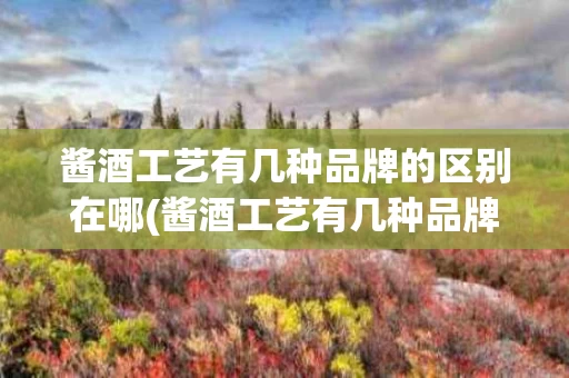酱酒工艺有几种品牌的区别在哪(酱酒工艺有几种品牌的区别在哪儿)