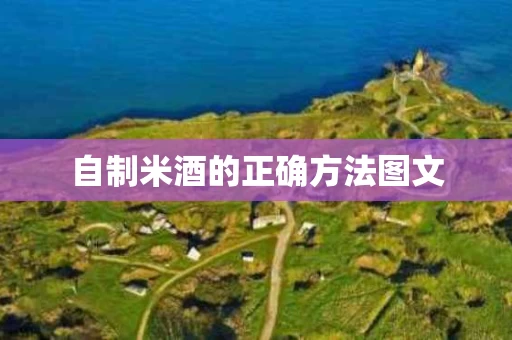 自制米酒的正确方法图文
